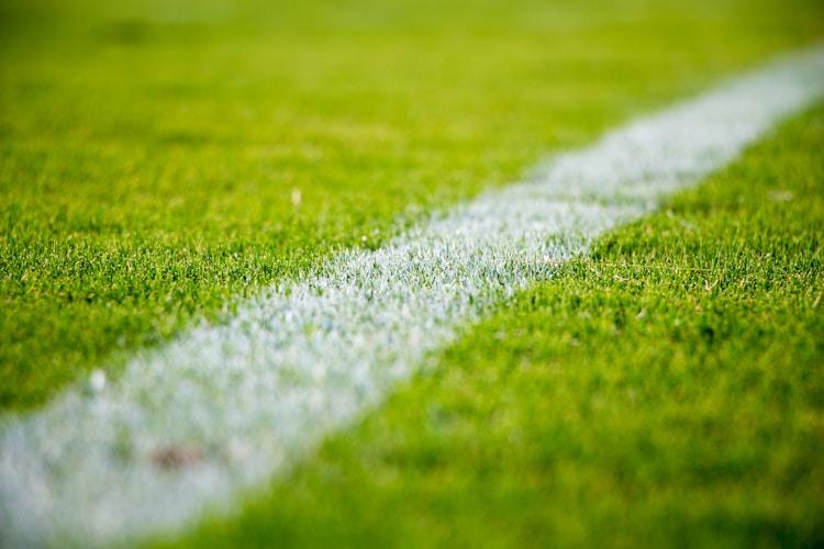 美加墨三国联合筹备2026世界杯，球迷在看台欢呼庆祝